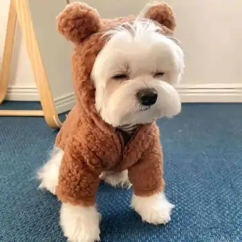 Suņu Apģērbu Mazo Suņu Cute Pet Kucēns Lācis Apģērbu Pet Suns WinterJacket CoatCat Franču Vēršu Cīņās Pomerānijas WarmClothes