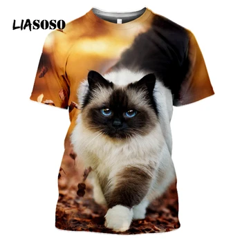 Dzīvnieku Apelsīnu Cat T-krekls 3D Drukāšanas Vīriešu, Sieviešu Jautri Multi-pattern Smieklīgi Vasaras Modes Topi Īsām piedurknēm O-veida kakla Lielgabarīta