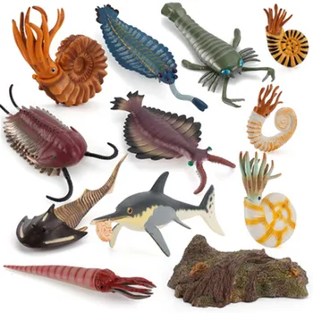 Simulācijas Seno Fosilā Jūras Dzīvi Gliemene Garneles, Zivis, Pūķi, Bruņurupucis Rotaļlietas Skaitļi Izglītības Rotaļlieta Bērniem, Rotaļlietas Attēls Dāvanas